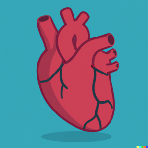 Heart