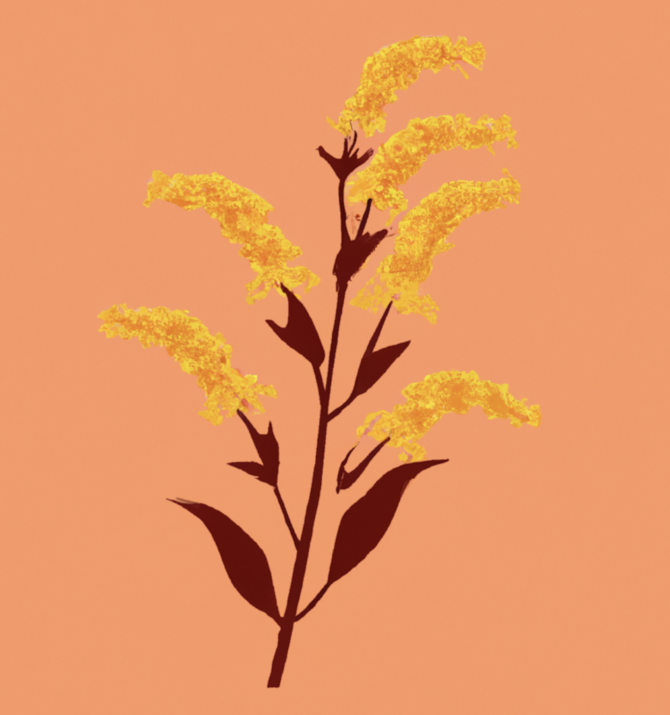 Goldenrod